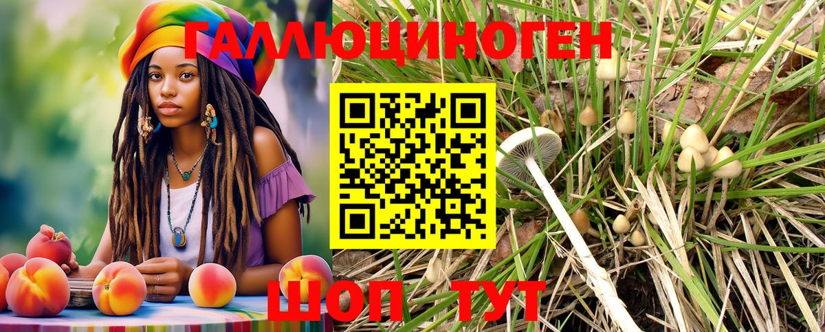Псилоцибиновые грибы Psilocybine cubensis Коммунар